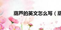 葫蘆的英文怎么寫(葫蘆的英文)