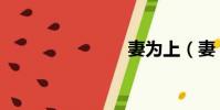 妻為上(妻)