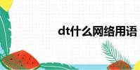 dt什么網絡用語(dt)