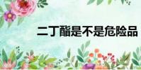 二丁酯是不是危險品(二丁酯)