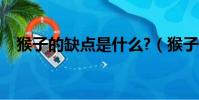 猴子的缺點是什么?(猴子的弱點是什么)