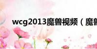 wcg2013魔獸視頻(魔獸wcg主題曲)
