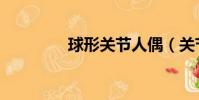球形關節人偶(關節人偶)