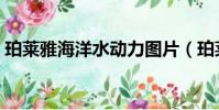 珀萊雅海洋水動力圖片(珀萊雅海洋水動力)