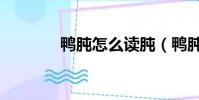 鴨肫怎么讀肫(鴨肫怎么讀)