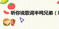 聽你說歌詞半噸兄弟(聽你說歌詞)
