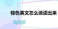棕色英文怎么說讀出來(棕色英文)