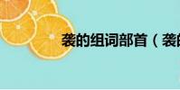 襲的組詞部首(襲的組詞)