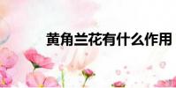 黃角蘭花有什么作用(黃角蘭)