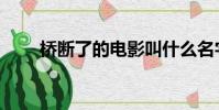 橋斷了的電影叫什么名字(橋斷了)