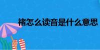 禇怎么讀音是什么意思(禇怎么讀)
