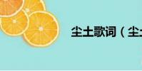 塵土歌詞(塵土)