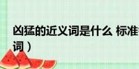 兇猛的近義詞是什么 標準答案(兇猛的近義詞)