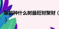 屋前種什么樹最旺財聚財(屋前種什么樹最旺)