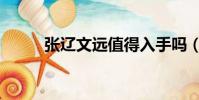張遼文遠值得入手嗎(張遼文遠)
