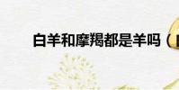白羊和摩羯都是羊嗎(白羊和摩羯)