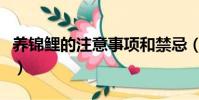 養錦鯉的注意事項和禁忌(養錦鯉的注意事項)