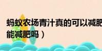 螞蟻農場青汁真的可以減肥嗎(螞蟻農場青汁能減肥嗎)