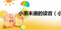 小惠未遍的讀音(小惠未遍)