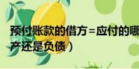 預付賬款的借方=應付的哪方(預付賬款是資產還是負債)