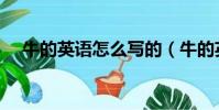 牛的英語怎么寫的(牛的英文怎么寫的)
