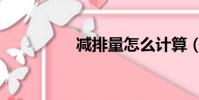 減排量怎么計算(減排)