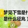 夢見下雪是什么征兆夢見滿地大雪（夢見下雪是什么征兆）