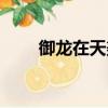 御龍在天美女代言（御龍在天美女）