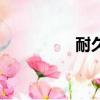 耐久性混凝土（耐久性）