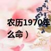 農歷1970年屬狗是什么命（1970年屬狗是什么命）