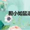 膽小如鼠造句一年級（膽小如鼠造句）