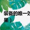 裝備的唯一效果是指什么意思（裝備的唯一效果）