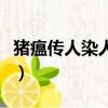 豬瘟傳人染人會怎樣（人傳染上豬瘟什么癥狀）