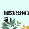 螞蟻積分用了會影響升級嗎（螞蟻積分會清零嗎）