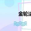 金輪法王vs楊過（金輪法王）