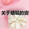 關于蜻蜓的資料大全（關于蜻蜓的資料介紹）
