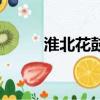 淮北花鼓戲打蠻船（淮北花鼓戲）