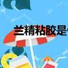 蘭精粘膠是什么面料（粘膠是什么面料）