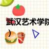 武漢藝術學院學費一年多少錢（武漢藝術學院）