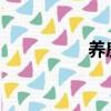 養房車一年需要多少錢