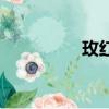 玫紅色怎么調（玫紅色）