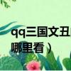 qq三國文丑的秘密副本在哪（qq好友秘密在哪里看）