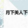 月下美人下一句是什么（月下美人米沙）
