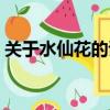 關于水仙花的詩句名言（關于水仙花的詩句）