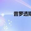 普羅透斯的臉指什么（普羅透斯）