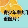 青少年睪丸下垂是怎么回事啊（青少年睪丸下垂圖片）
