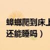 蟑螂爬到床上還能睡嗎用酒精（蟑螂爬到床上還能睡嗎）