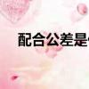 配合公差是什么意思（公差是什么意思）