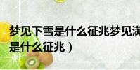 夢見下雪是什么征兆夢見滿地大雪(夢見下雪是什么征兆)