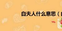 白夫人什么意思(白夫人)